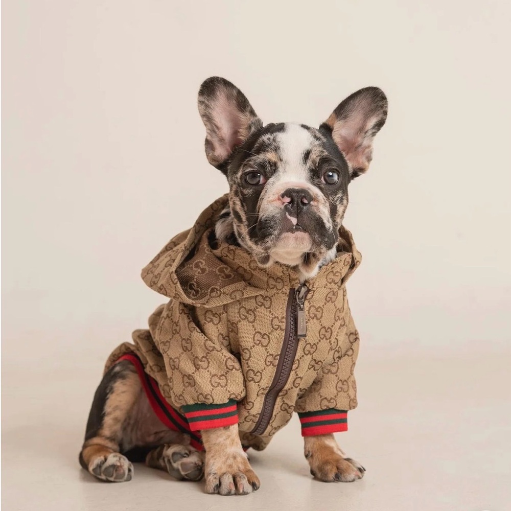 Stylish Tan Dog Jackets Set of Two!